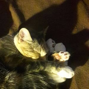 Meet your Posher, William